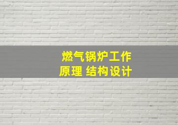 燃气锅炉工作原理 结构设计